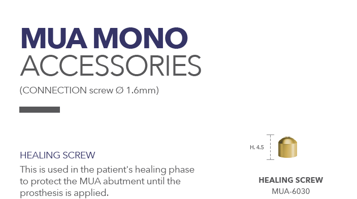 BNB MONO MUA HEALING