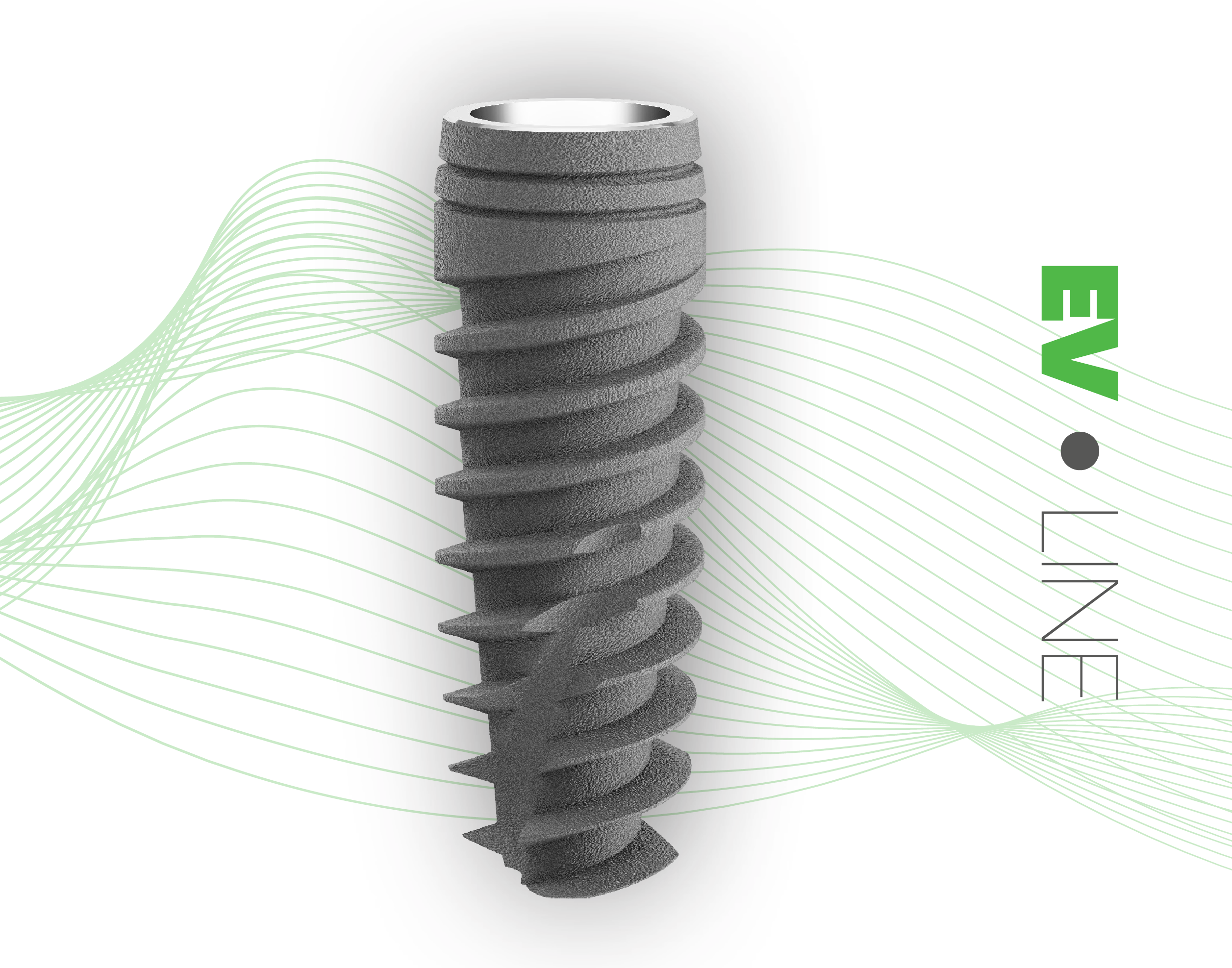 BLACK FRIDAY - BUNDLE DEAL 2