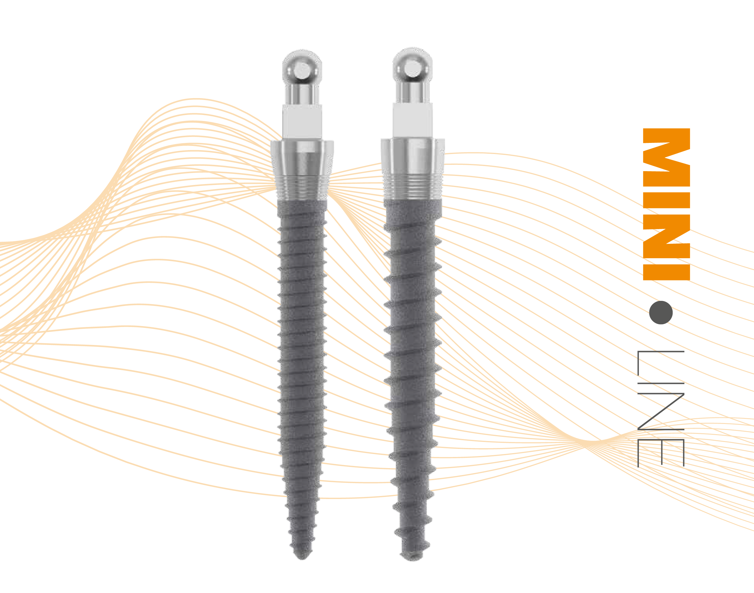 BLACK FRIDAY - BUNDLE DEAL 2