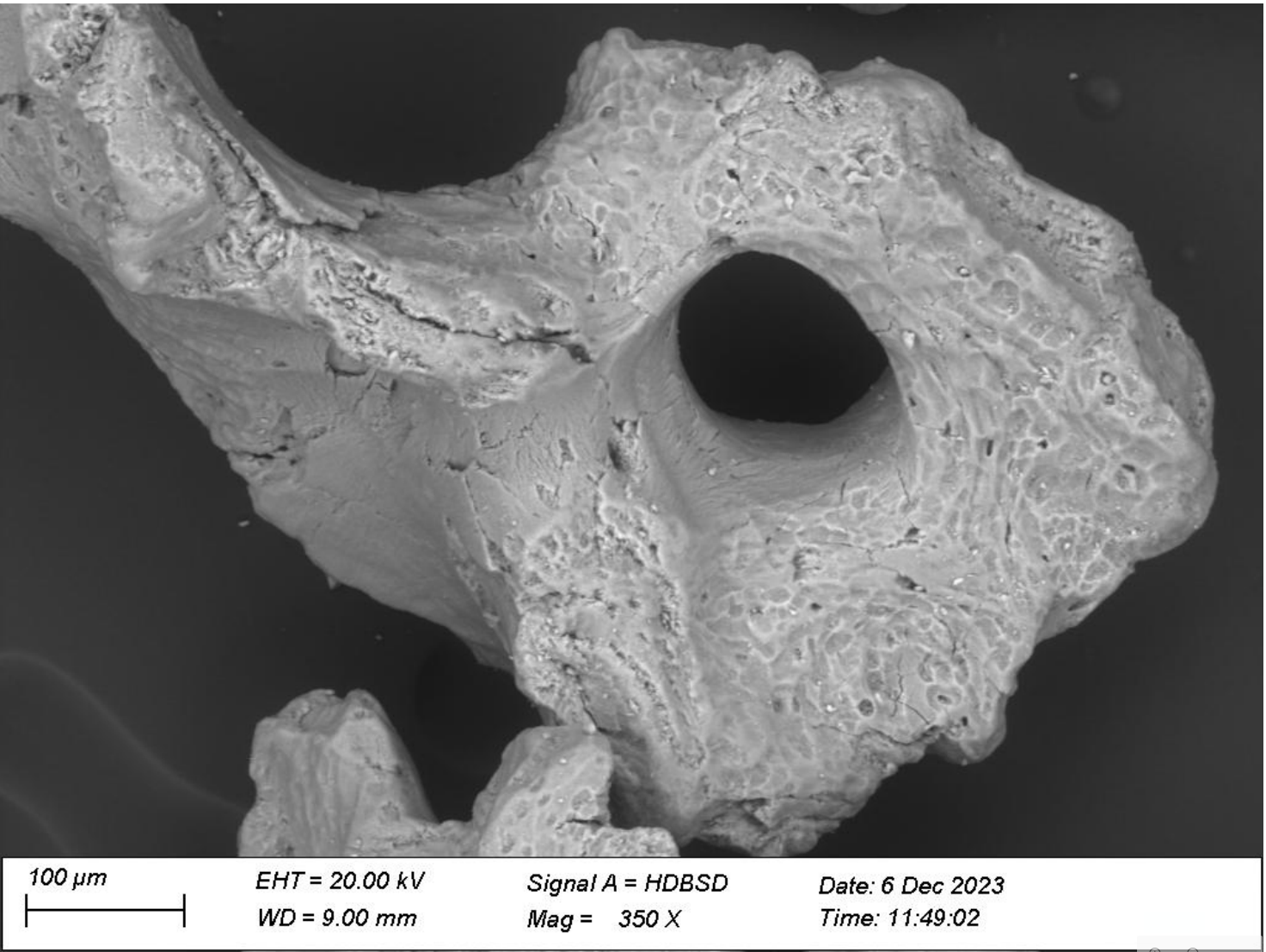 Novobone Granules 0.5g