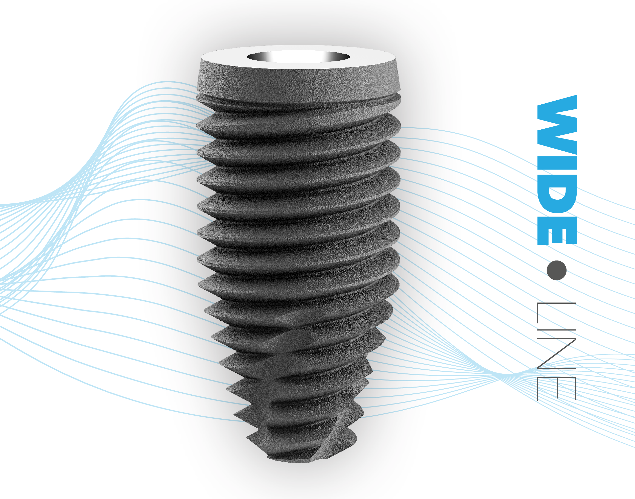 BLACK FRIDAY - BUNDLE DEAL 2