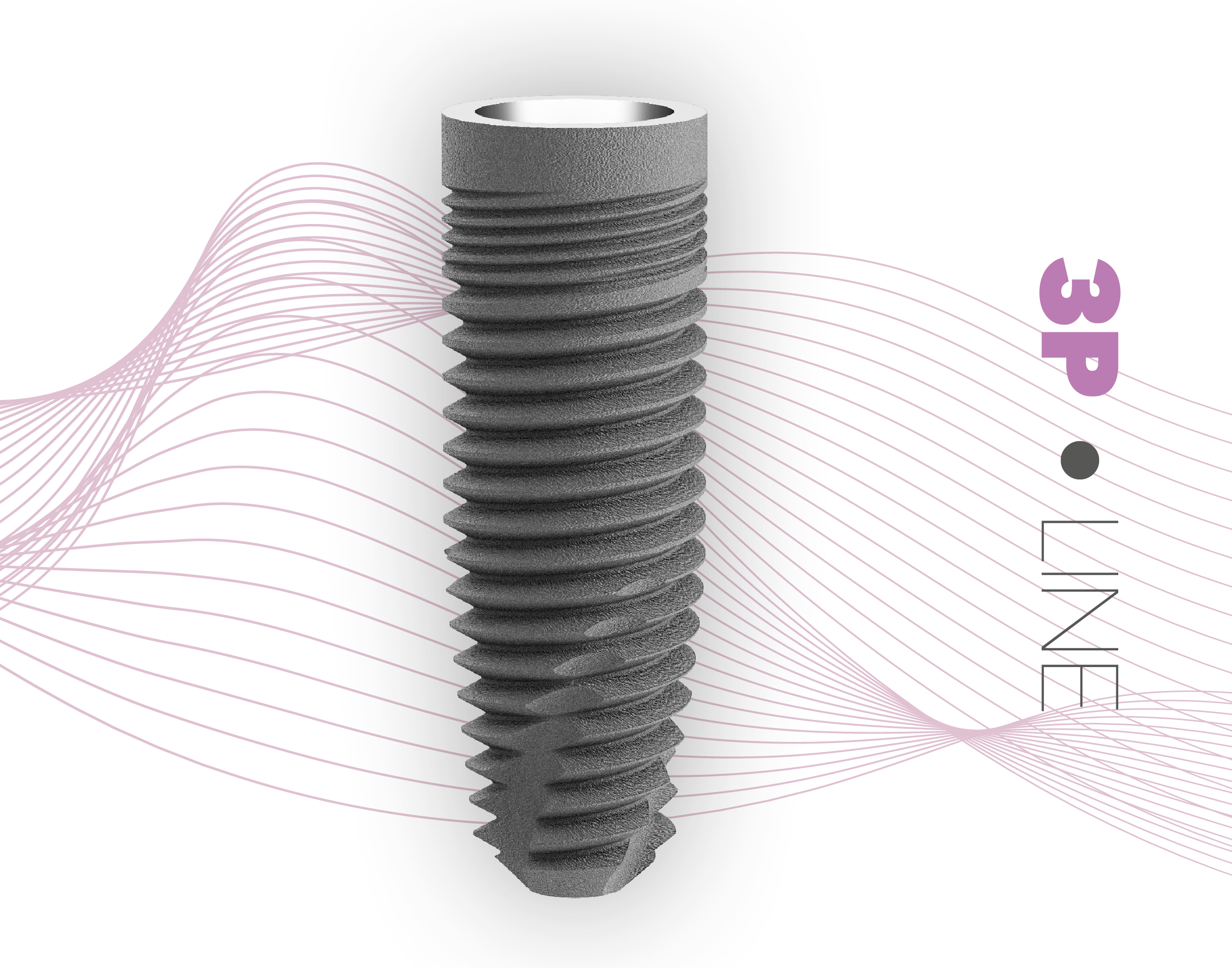 BLACK FRIDAY - BUNDLE DEAL 2