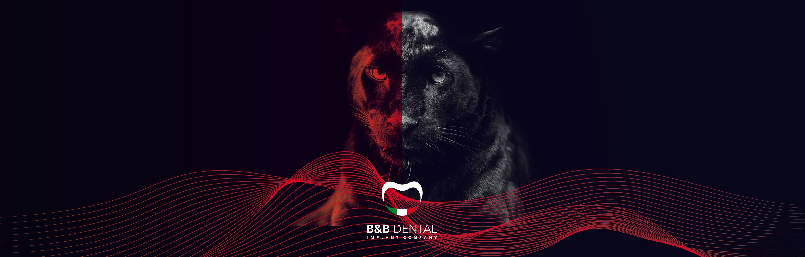 B&B DENTAL COMPANY