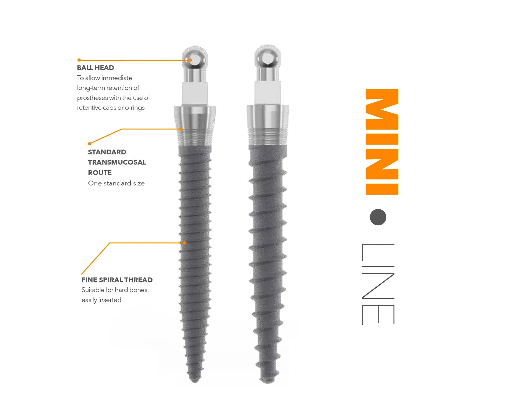 DURA-VIT MINI IMPLANT